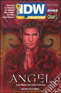 Angel. IDW collection. Vol. 1 libro