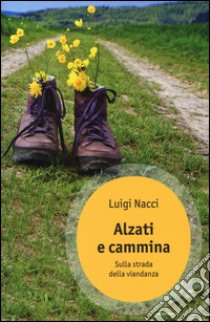 Alzati e cammina. Sulla strada della viandanza libro di Nacci Luigi