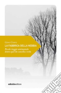 La fabbrica della nebbia. Piccolo viaggio sentimentale dentro quel che cancella e svela libro di Cervi Gino