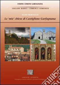 Le «mie» chiese di Castiglione Garfagnana libro di Bertozzi Aldo