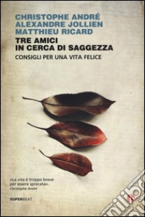 Tre amici in cerca di saggezza. Consigli per una vita felice libro di André Christophe; Jollien Alexandre; Ricard Matthieu