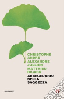 Abbecedario della saggezza libro di André Christophe; Jollien Alexandre; Ricard Matthieu