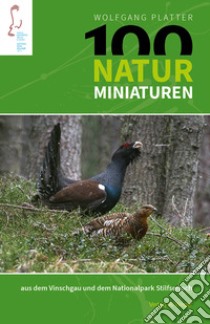 100 naturminiaturen aus dem Vinschgau und dem Nationalpark Silfserjoch libro di Platter Wolfgang