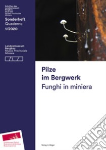 Pilze im Bergwerk-Funghi in miniera. Ediz. bilingue libro di Terzer Christian; Torggler Armin; Amrain Werner