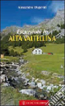 Escursioni in Alta Valtellina libro di Disperati Alessandro