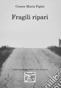 Fragili ripari libro di Figini Cesare Maria