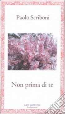 Non prima di te libro di Scriboni Paolo