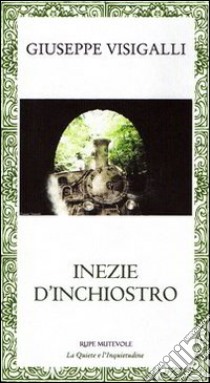 Inezie d'inchiostro libro di Visigalli Giuseppe