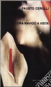 Ora navigo a vista libro di Cerulli Fausto