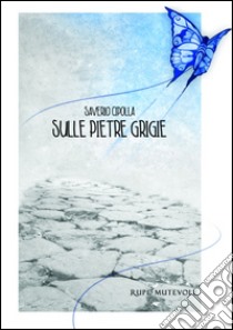 Sulle pietre grigie libro di Cipolla Saverio