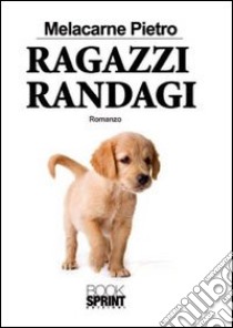 Ragazzi randagi libro di Melacarne Pietro