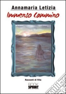 Immenso cammino libro di Letizia Annamaria