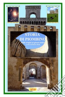 Storia di Piombino. Dalle origini ai giorni nostri libro di Beni E. (cur.)