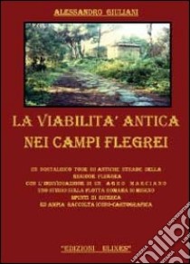 La viabilità antica nei campi Flegrei libro di Giuliani Alessandro