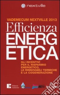 Efficienza energetica. Gli incentivi per il risparmio energetico, le rinnovabili termiche e la cogenerazione. Vademecum Nextville 2013 libro di Bruno A. (cur.)