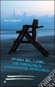 Dimora nel cuore un miracolo chiamato amicizia libro di Luparesi Ilia