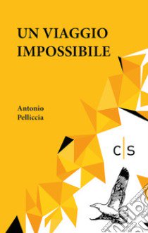 Un viaggio impossibile libro di Pelliccia Antonio