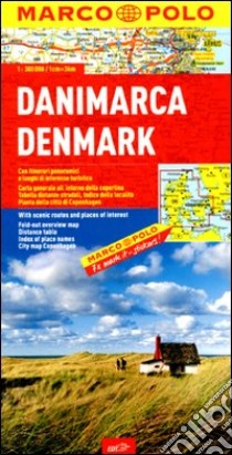 Danimarca 1:300.000. Ediz. multilingue libro