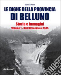 Le dighe della provincia di Belluno. Storia e immagini. Vol. 1: Dall'Ottocento al 1945 libro di Sirena Toni