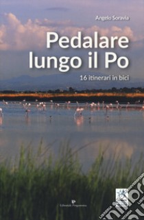 Pedalare lungo il Po. 16 itinerari in bici libro di Soravia Angelo