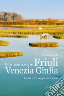 Gite fuori porta in Friuli Venezia Giulia. Guida a 16 luoghi imperdibili libro di Simionato Stefania