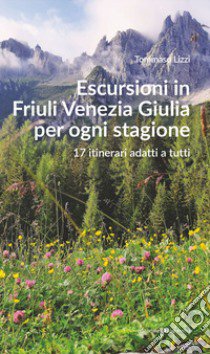 Escursioni in Friuli Venezia Giulia per ogni stagione. 17 itinerari adatti a tutti libro di Lizzi Tommaso