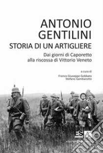 Storia di un artigliere. Dai giorni di Caporetto alla riscossa di Vittorio Veneto libro di Gentilini Antonio; Gobbato F. G. (cur.); Gambarotto S. (cur.)