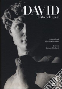 Il David di Michelangelo. Ediz. illustrata libro di Paolucci Antonio; Amendola Aurelio