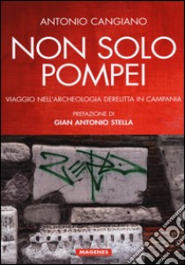 Non solo Pompei. Viaggio nell'archeologia derelitta in Campania libro di Cangiano Antonio