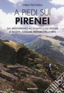 A piedi sui Pirenei. Dal Mediterraneo all'Atlantico sui sentieri di banditi, cavalieri, pastori e pellegrini libro di Piccinelli Carlo