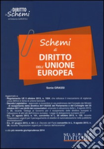 Schemi di diritto dell'Unione Europea libro di Grassi Sonia