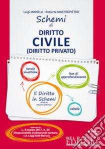 Schemi di istituzioni di diritto civile (diritto privato) libro di Iannelli Luigi; Mastropietro Roberta