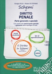 Schemi di diritto penale. Parte generale e speciale. Con Contenuto digitale per accesso on line libro di Villa Giorgia; Di Stefano Ruben