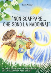 «Non scappare... che sono la Madonna!» Piccola storia delle apparizioni della Madonna alle Ghiaie libro di Amour Lucia