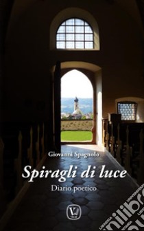 Spiragli di luce libro di Spagnolo Giovanni