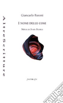 I nomi delle cose libro di Baroni Giancarlo