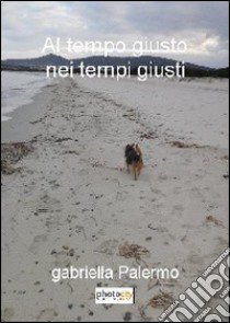 Al tempo giusto nei tempi giusti libro di Palermo Gabriella