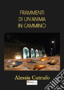 Frammenti di un'anima in cammino libro di Cutrufo Alessia