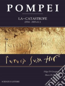 Pompei. La catastrofe (2014-2020 d.C.) libro di Di Giuseppe Helga; Di Branco Marco