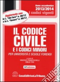 Il codice civile e i codici minori libro