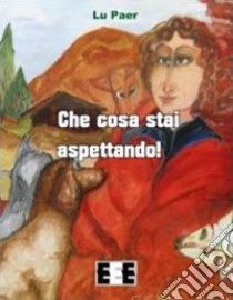 Che cosa stai aspettando! libro di Lu Paer