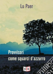 Provvisori come squarci d'azzurro libro di Lu Paer