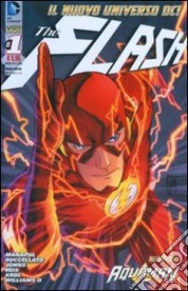 Flash. Vol. 1 libro