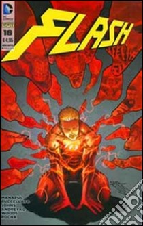 Flash. Vol. 16 libro