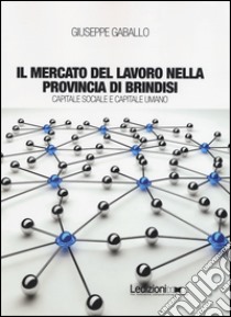 Il mercato del lavoro nella provincia di Brindisi. Capitale sociale e capitale umano libro di Gaballo Giuseppe