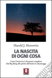 La nascita di ogni cosa. Come l'universo è diventato complesso. Dal Big Bang allo spirito dell'uomo in 28 passaggi libro di Morowitz Harold J.