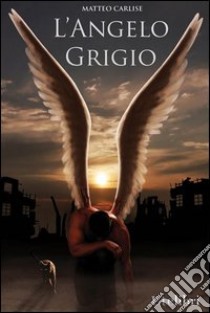 L'angelo grigio libro di Carlise Matteo