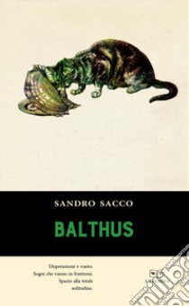 Balthus libro di Sacco Sandro