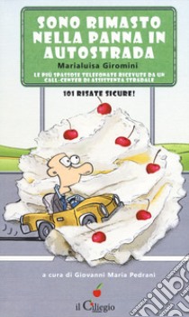 Sono rimasto nella panna in autostrada. Le più spassose telefonate ricevute da un call-center di assistenza stradale. 101 risate sicure libro di Giromini Marialuisa; Pedrani G. M. (cur.)
