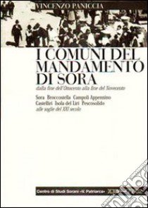 I comuni del mandamento di Sora dalla fine dell'Ottocento alla fine del Novecento. Con appendice di dati e notizie libro di Paniccia Vincenzo; Pisani I. V. (cur.)